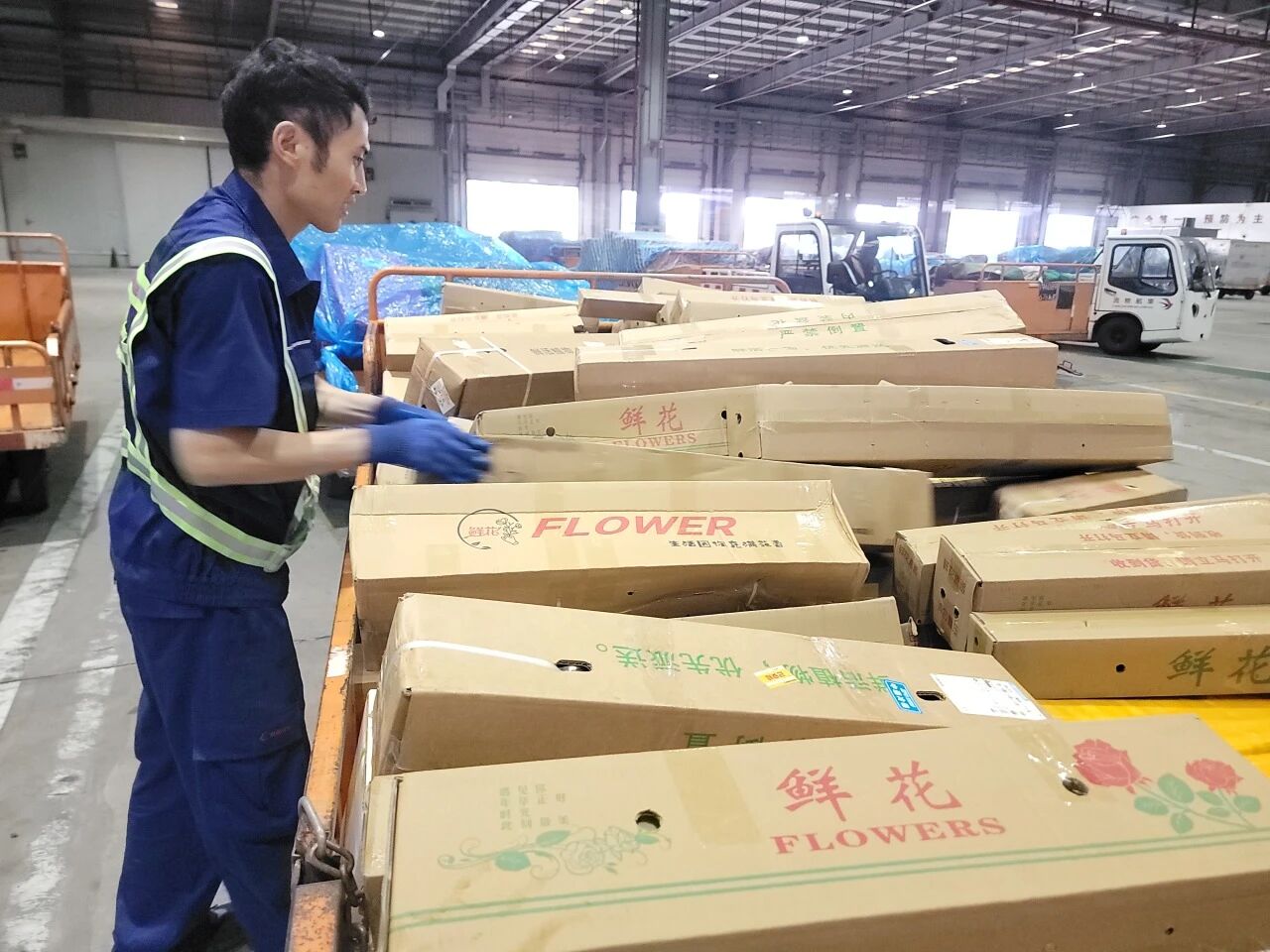 鲜花与爱，准时必达​​​​​​——东航物流高效保障“七夕”鲜花运输