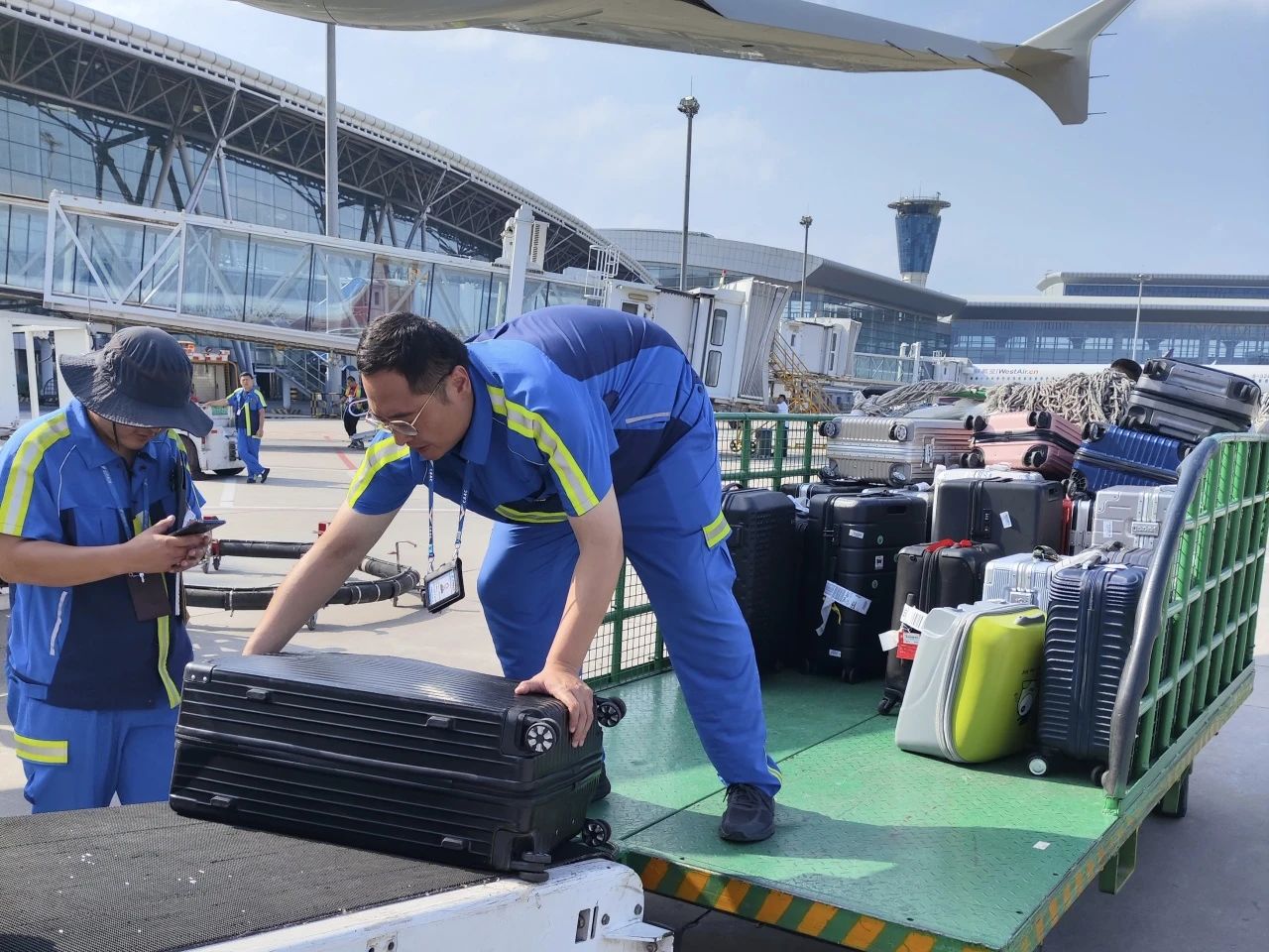 济南宠物空运进客舱，毛孩同出行